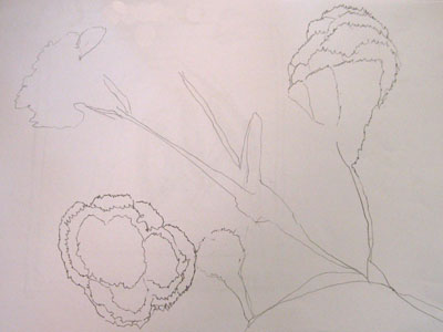 A still life drawing by one of the participants at the workshop.